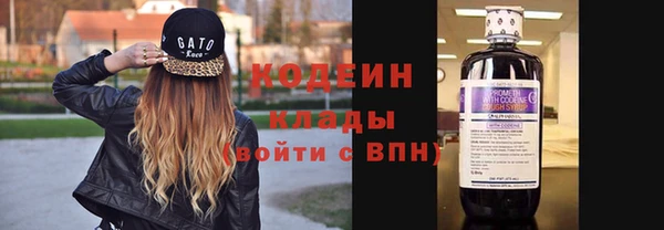 прущие грибы Беломорск
