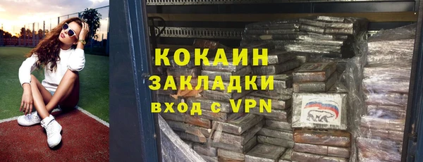 прущие грибы Беломорск