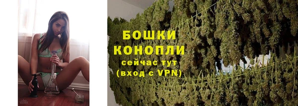 прущие грибы Беломорск