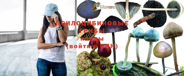 МДПВ Белоозёрский