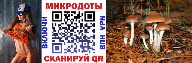 Псилоцибиновые грибы MAGIC MUSHROOMS Купить Ревда